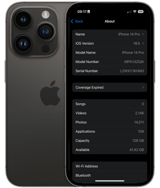 iOS 18.5 Device Information