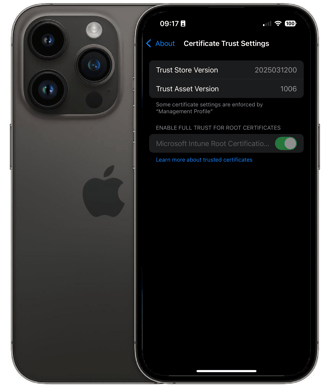 iOS 18.5 Trust Info
